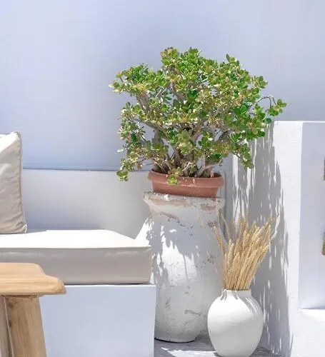 Lyra Sunset Apartamento